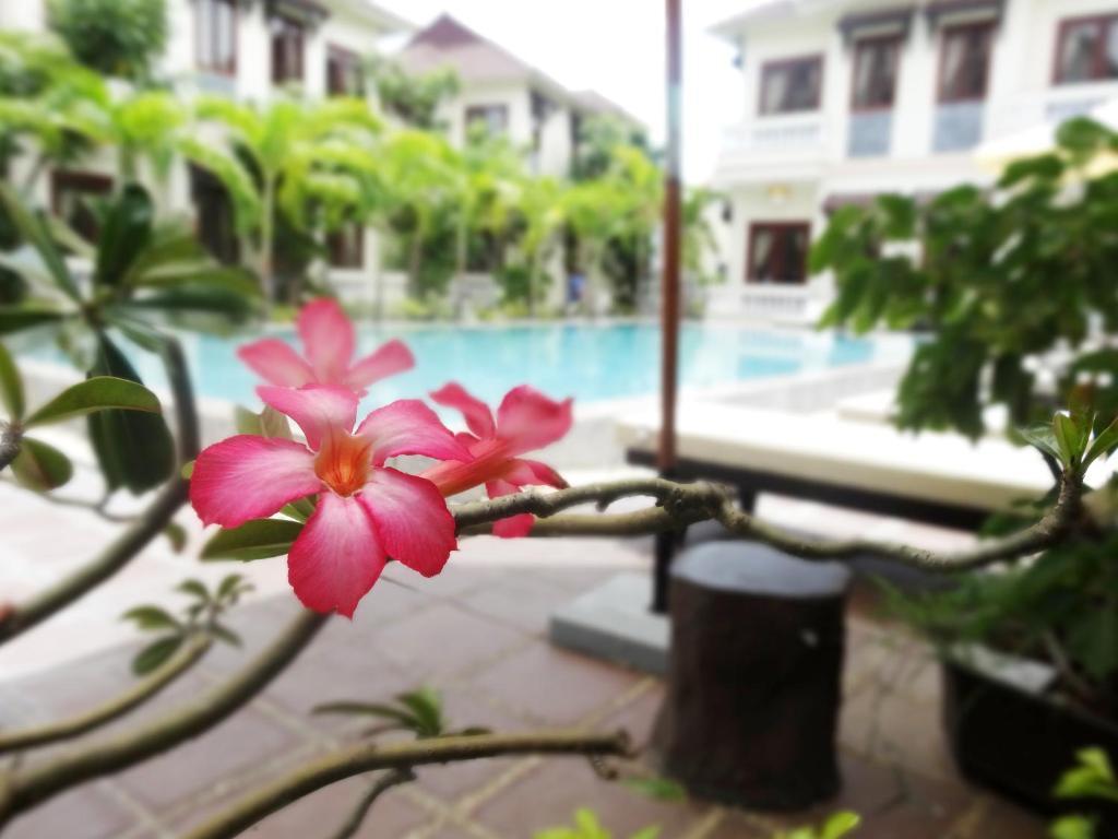 Hoi An Memority Villas & Spa エクステリア 写真